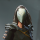 AbsolverMods