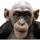 Rictus