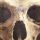 BullseyeBobE